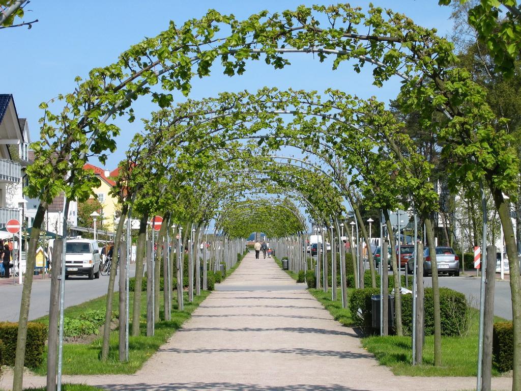 Traumferienwohnung Ostseebad Baabe - Ruegen Szoba fotó